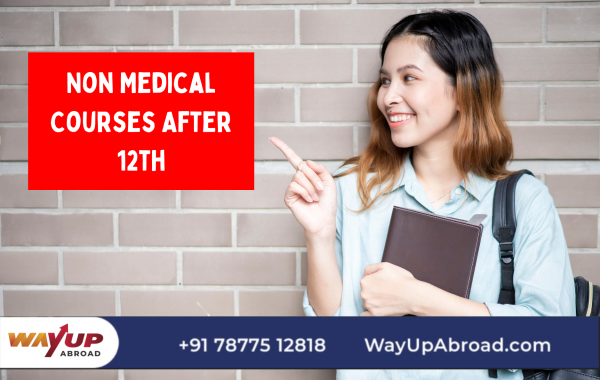 Top Non-Medical Courses After 12th for You to Consider